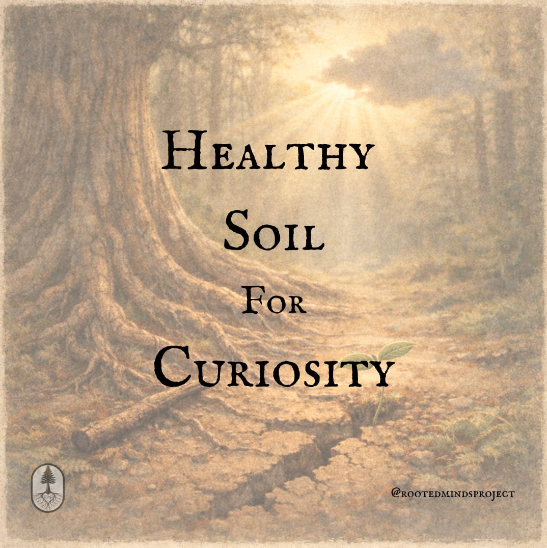 Healthy Soil for Curiosity — an interactive flipbook about curiosity and nervous system safety in learning
