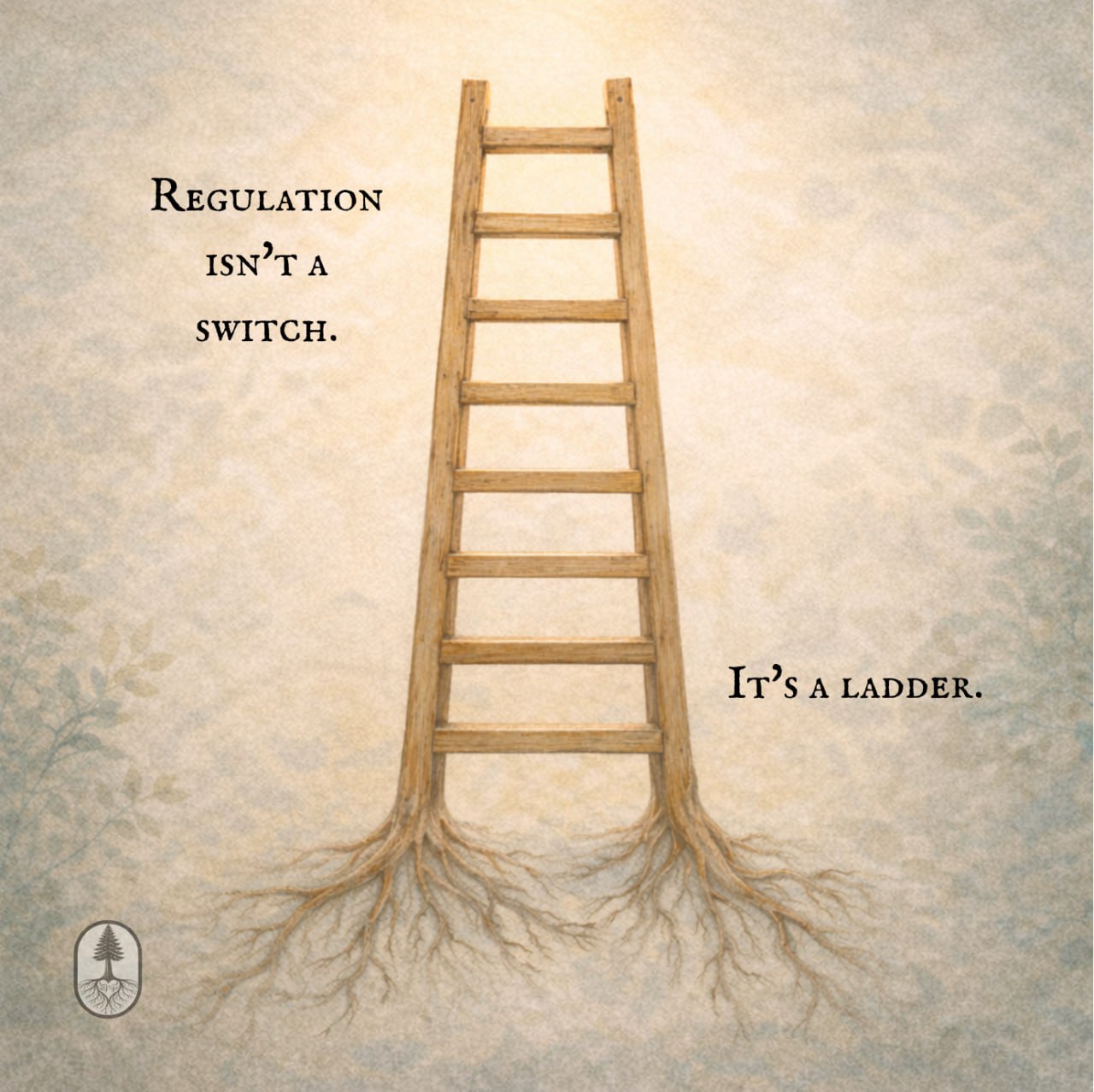 Regulation is not a switch. It is a ladder.
